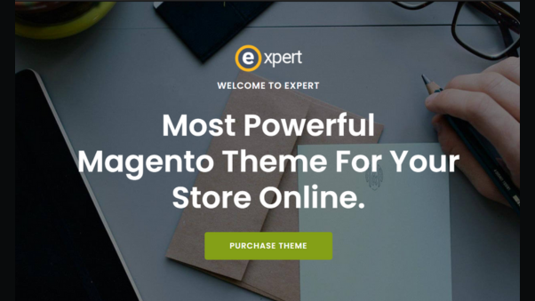 magento Expert theme